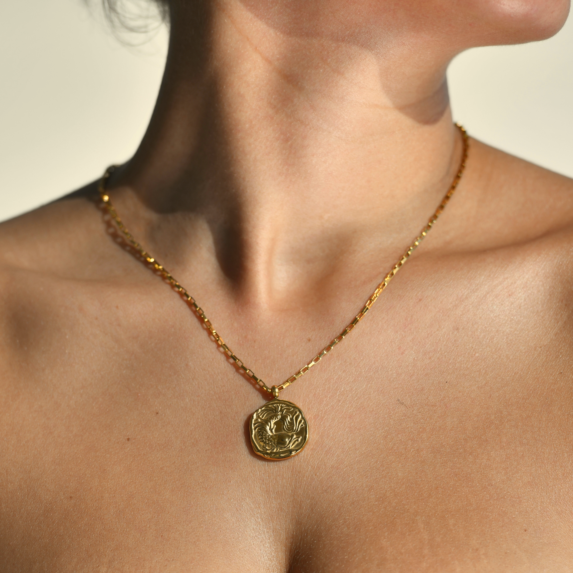 irreguar shape round medallion with a khoi fish in the middle. Gold plated chain and medallion necklace. Pisces medallion gold necklace.